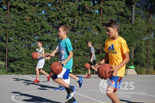 Image_8520
